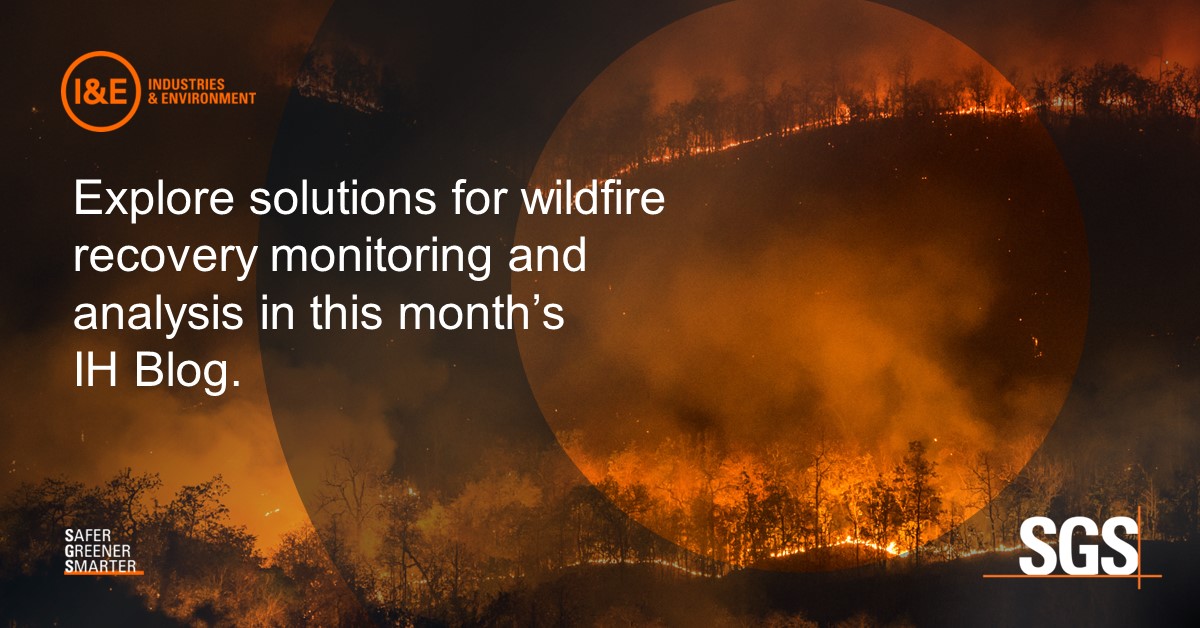 Facing Intensifying Wildfire Activity Across North America, Turn to SGS for Support